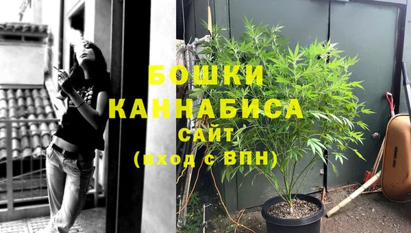 ПСИЛОЦИБИНОВЫЕ ГРИБЫ Бугульма
